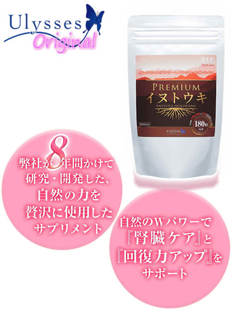 公式日本サイト Premiumイヌトウキ 2袋 - 健康用品
